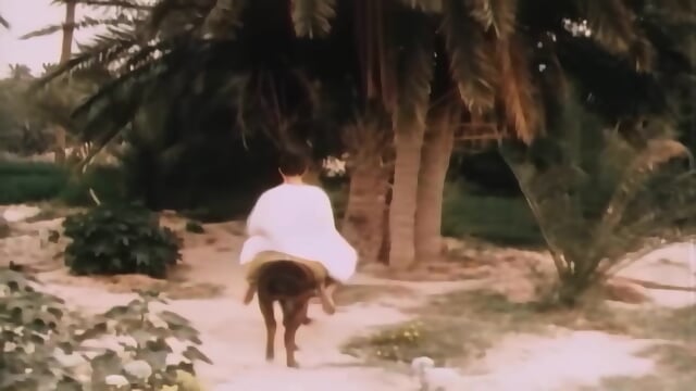 Vintage interracial threesome