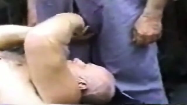 Bears Pound Each Other's Holes Raw